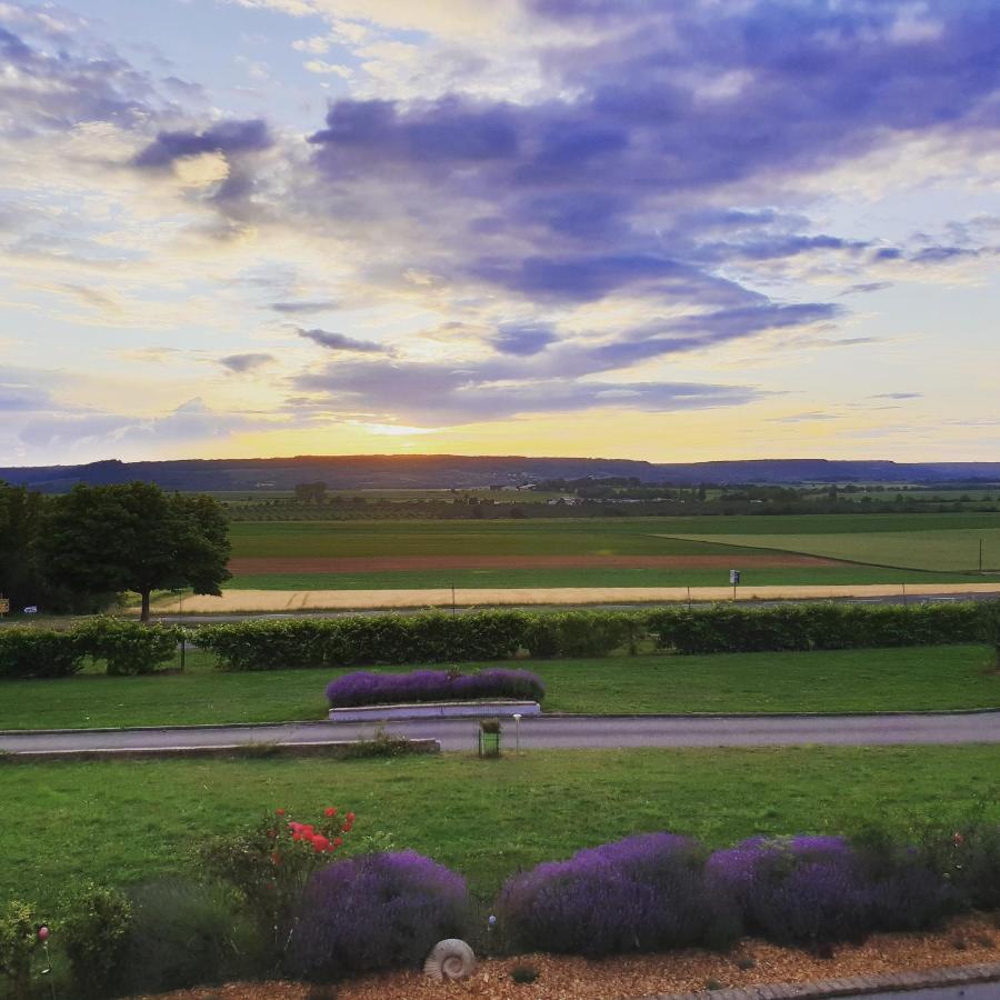 Logis Hotel- Restaurant La Haie Des Vignes Seminaires Et Evenementiel 얼레인 외부 사진